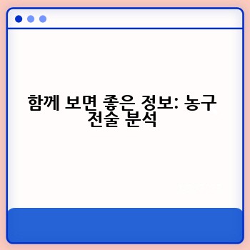 함께 보면 좋은 정보: 농구 전술 분석