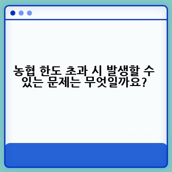 농협 한도 초과 시 발생할 수 있는 문제는 무엇일까요?