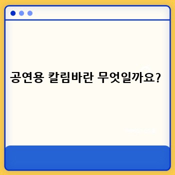 공연용 칼림바란 무엇일까요?
