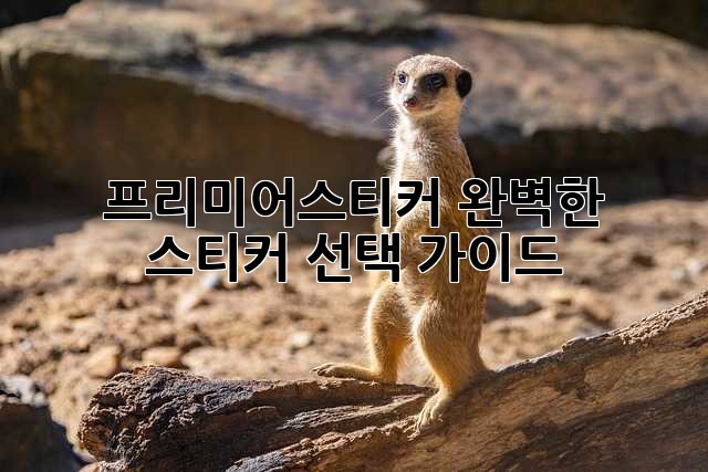 프리미어스티커: 완벽한 스티커 선택 가이드