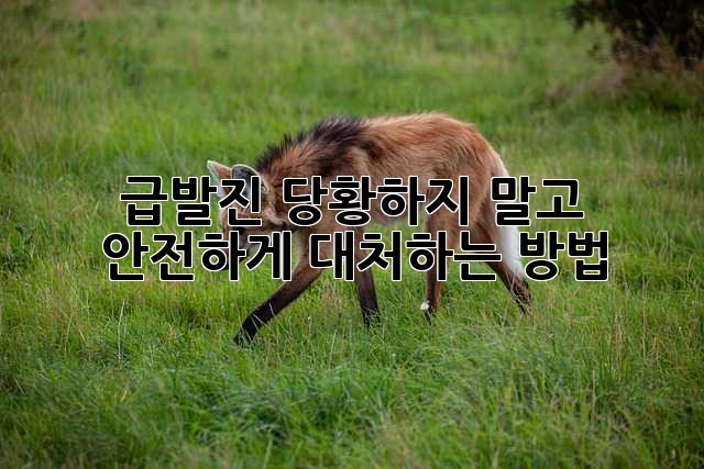 급발진?! 당황하지 말고, 안전하게 대처하는 방법!
