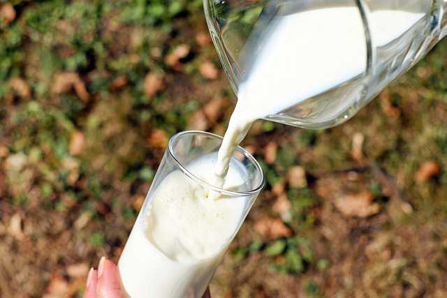 오디우유 완벽 가이드: 효능, 맛, 구매 가이드, 그리고 더 많은 정보!
