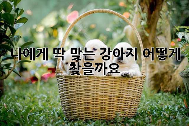 나에게 딱 맞는 강아지, 어떻게 찾을까요?