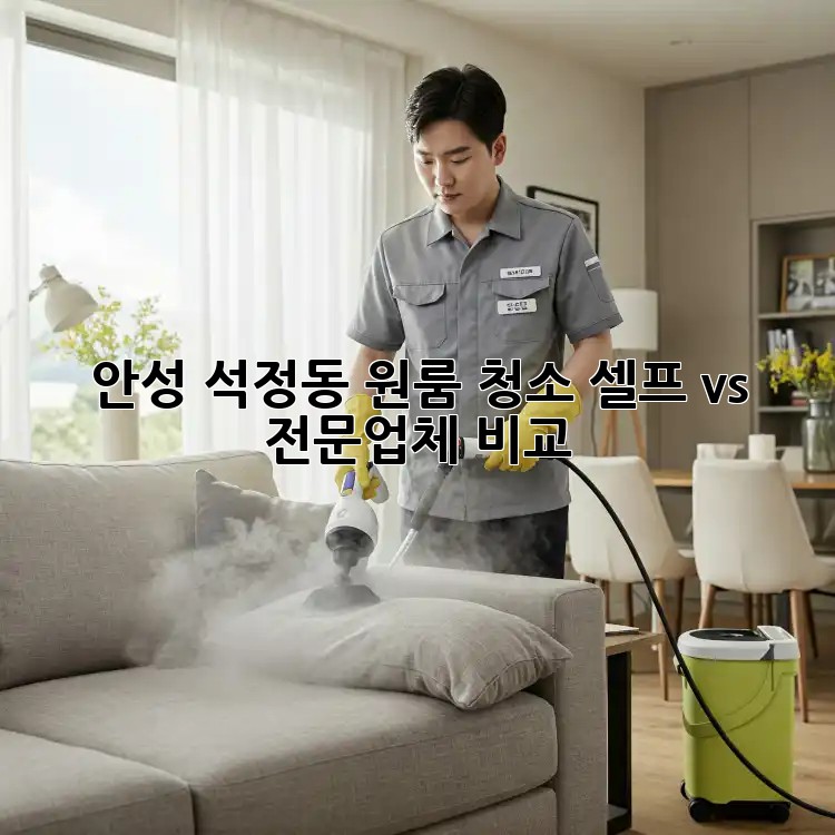 안성 석정동 원룸 청소, 셀프 vs 전문업체 비교!