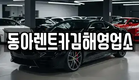 렌트카 업체 비교 11건 in 경남 김해시 관동동