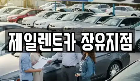 제일렌트카 장유지점