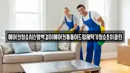 에어컨청소시스템벽걸이에어컨통돌이드럼세탁기청소초이클린