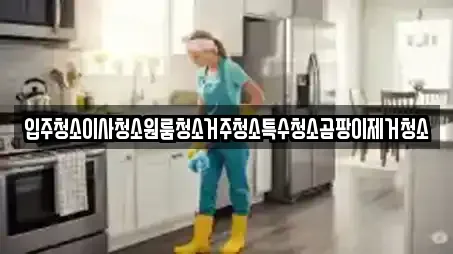 입주청소이사청소원룸청소거주청소특수청소곰팡이제거청소