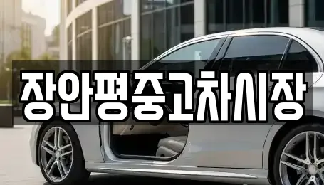 장안평중고차시장