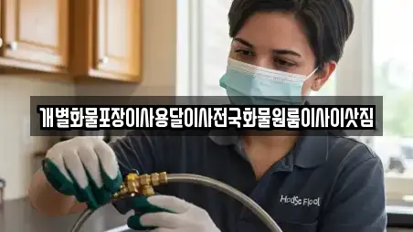 개별화물포장이사용달이사전국화물원룸이사이삿짐