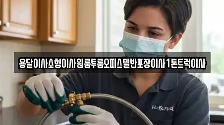 용달이사소형이사원룸투룸오피스텔반포장이사1톤트럭이사