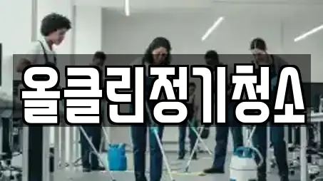 올클린정기청소