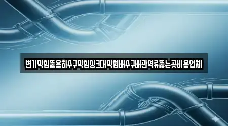 변기막힘뚫음하수구막힘싱크대막힘배수구배관역류뚫는곳비용업체