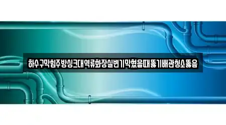 하수구막힘주방싱크대역류화장실변기막혔을때뚫기배관청소뚫음