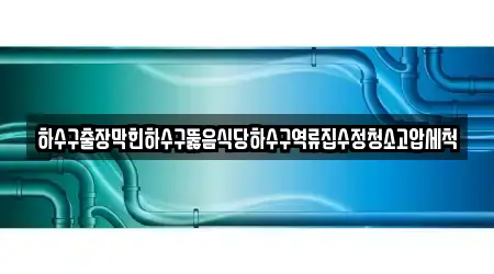 하수구출장막힌하수구뚫음식당하수구역류집수정청소고압세척