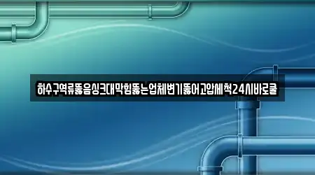 하수구역류뚫음싱크대막힘뚫는업체변기뚫어고압세척24시바로쿨