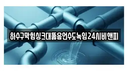 하수구막힘싱크대뚫음언수도녹임24시비앤피