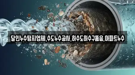 달인누수탐지업체,수도누수공사,하수도하수구뚫음,아파트누수