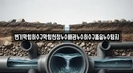 변기막힘하수구막힘천정누수배관누수하수구뚫음누수탐지