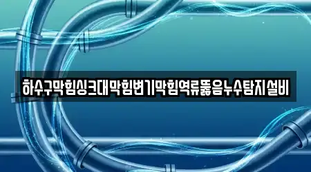 하수구막힘싱크대막힘변기막힘역류뚫음누수탐지설비