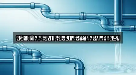 인천설비하수구막힘변기막힘싱크대막힘뚫음누수탐지역류뚜러드림