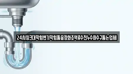 24시싱크대막힘변기막힘뚫음정화조역류수전누수하수구뚫는업체