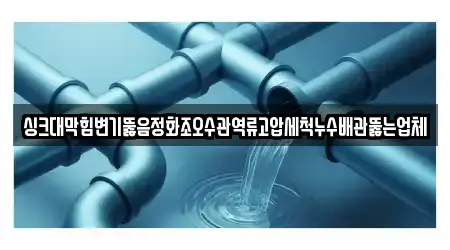 싱크대막힘변기뚫음정화조오수관역류고압세척누수배관뚫는업체