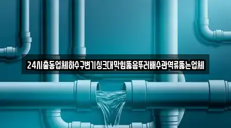24시출동업체하수구변기싱크대막힘뚫음뚜러배수관역류뚫는업체