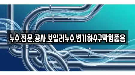 누수.전문.공사.보일러누수.변기하수구막힘뚫음