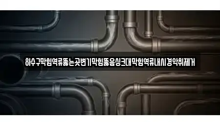 하수구막힘역류뚫는곳변기막힘뚫음싱크대막힘역류내시경악취제거