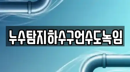 누수탐지하수구언수도녹임