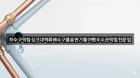 하수구막힘싱크대역류배수구뚫음변기뚫어뻥우수관막힘전문업