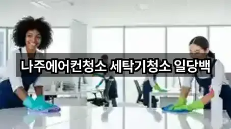 나주에어컨청소 세탁기청소 일당백