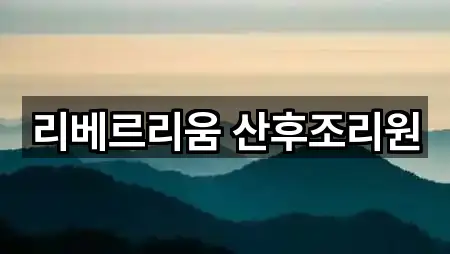 리베르리움 산후조리원