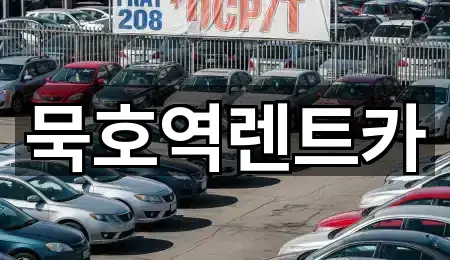 동호동 렌트카 어떻게 고를까? 3곳