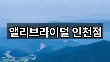 앨리브라이덜 인천점