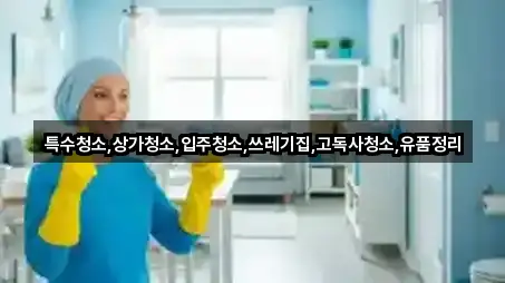 인천광역시 강화군 교동면 상가청소 네이버 지도 2곳