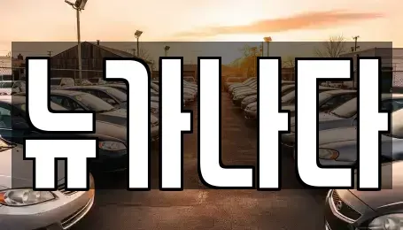 경기 고양시 일산서구 일산동 렌트카 전문 뉴가나다