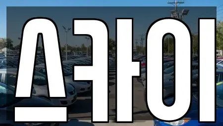 경기 고양시 일산서구 일산동 렌트카 전문 스카이