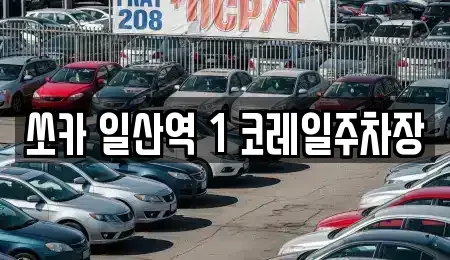 경기 고양시 일산서구 일산동 렌트카 전문 쏘카 일산역 1 코레일주차장