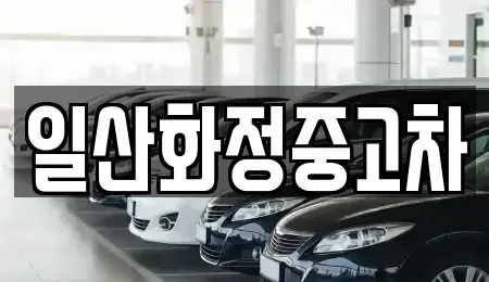 경기 고양시 일산서구 일산동 중고차 전문 일산화정중고차