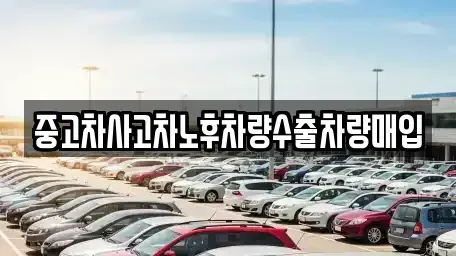 경기 고양시 일산서구 일산동 중고차 전문 중고차사고차노후차량수출차량매입