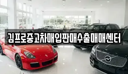 경기 고양시 일산서구 일산동 중고차매입 전문 김프로중고차매입판매수출매매센터