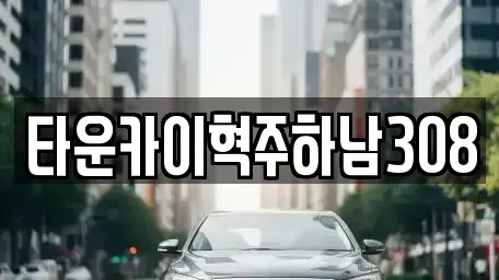 경기 하남시 덕풍동 단기렌트카 전문 타운카이혁주하남308