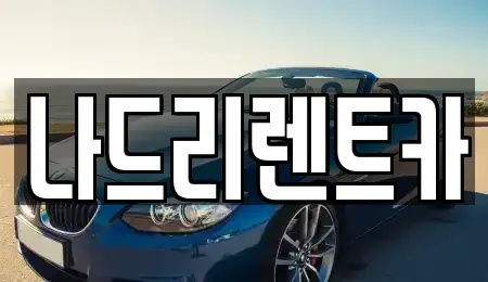 경기 하남시 덕풍동 장기렌트카 전문 나드리렌트카