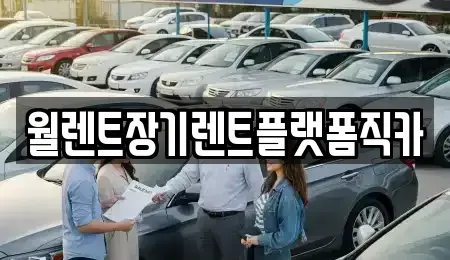 경기 하남시 덕풍동 장기렌트카 전문 월렌트장기렌트플랫폼직카