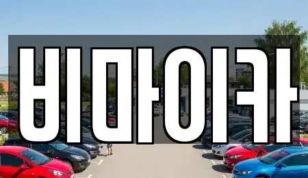 경기도 고양시 일산동구 정발산동 렌트카 전문 비마이카