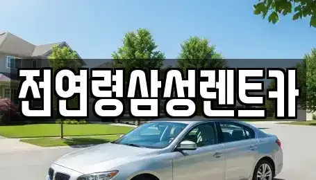 경기도 고양시 일산동구 정발산동 렌트카 전문 전연령삼성렌트카