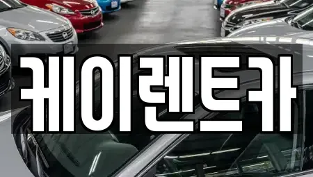 경기도 고양시 일산동구 정발산동 렌트카 전문 케이렌트카