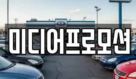 경기도 고양시 일산동구 정발산동 장기렌트카 전문 미디어프로모션